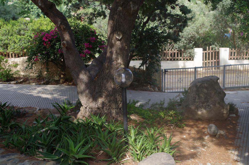 Villa Bonu Torre delle Stelle Εξωτερικό φωτογραφία