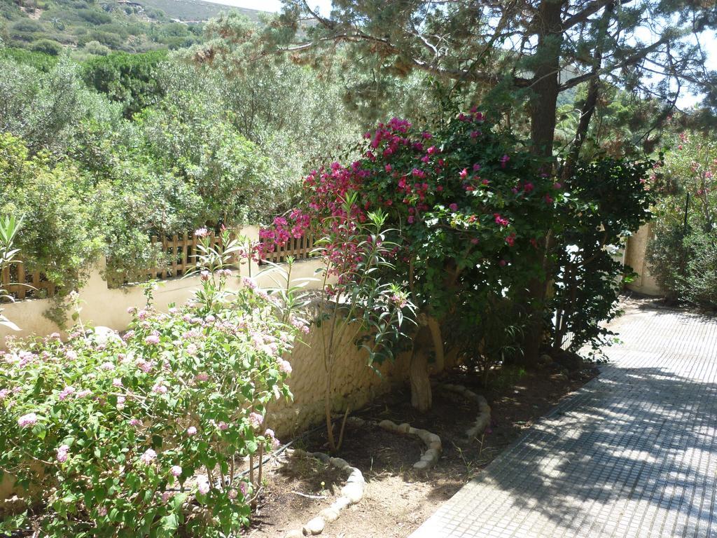 Villa Bonu Torre delle Stelle Εξωτερικό φωτογραφία